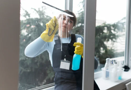 Nettoyage de vitres intérieures et extérieures à Chambéon